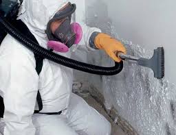 Mount Gilead, NC Mold Removal & Remediation Company